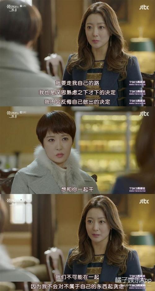 2017韩国电视剧在线观看,重温经典,探索热门剧集 第2张 2017韩国电视剧在线观看,重温经典,探索热门剧集 第2张